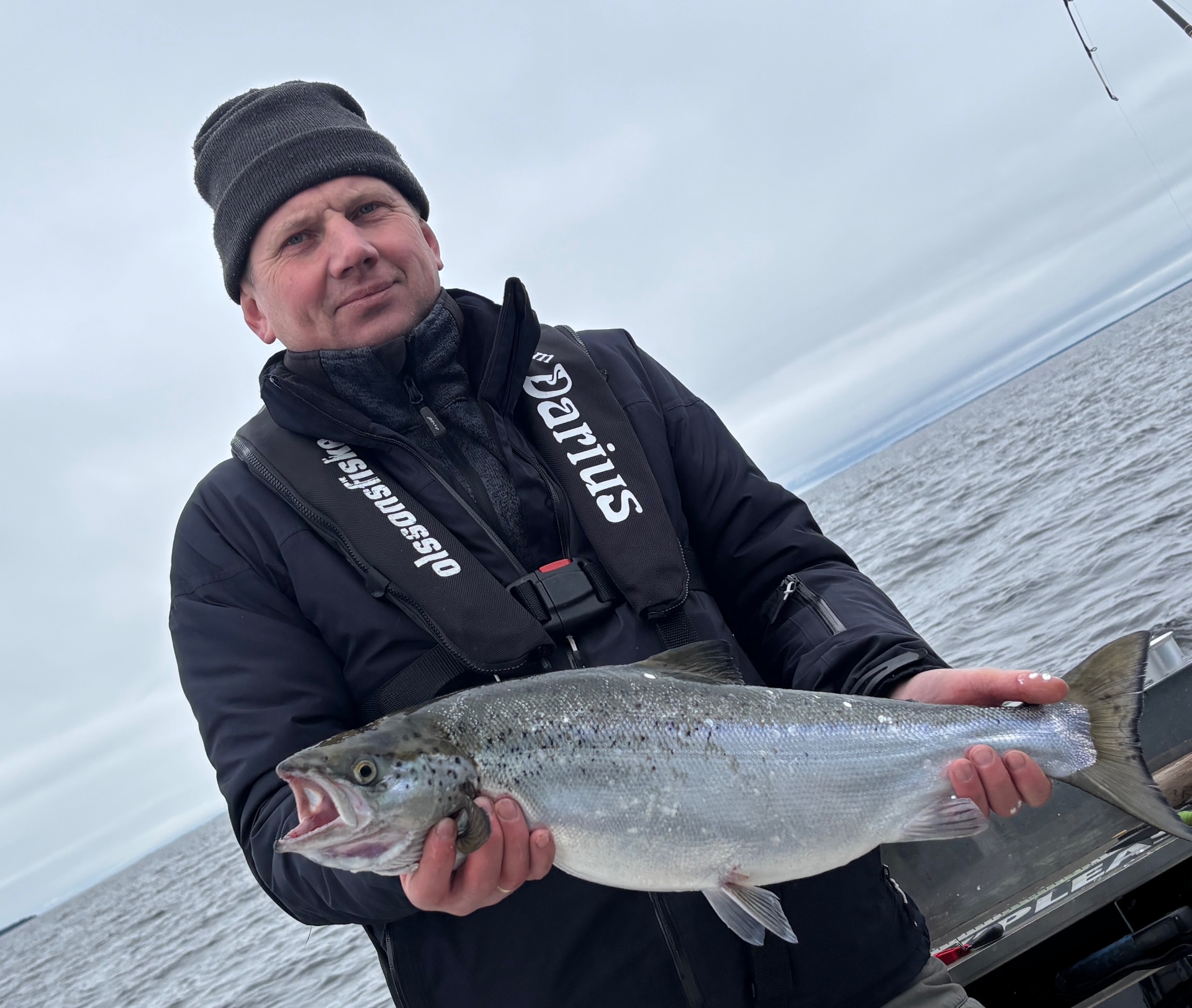 Gäst med blank öring en grå dag på sjön